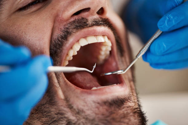 Best Emergency Orthodontic Services in Campbellsburg, KY